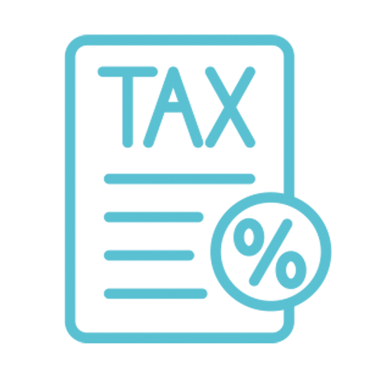 Tax Investigation Icon